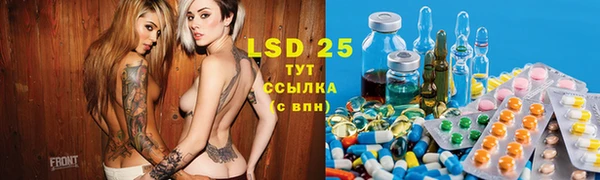 прущие грибы Арсеньев