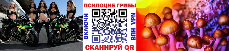 Псилоцибиновые грибы Cubensis площадка Telegram мега зеркало Можга цена