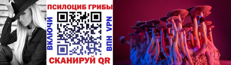 Галлюциногенные грибы Psilocybine cubensis Можга